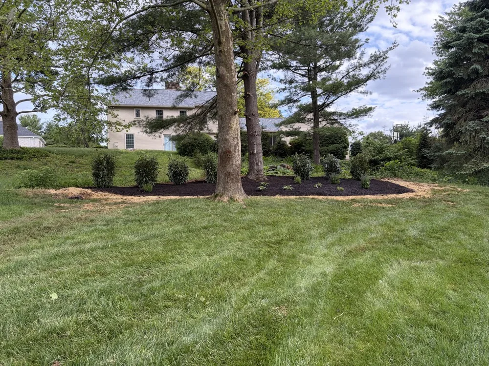 Crew member trimming along a stone wall border in a large backyard