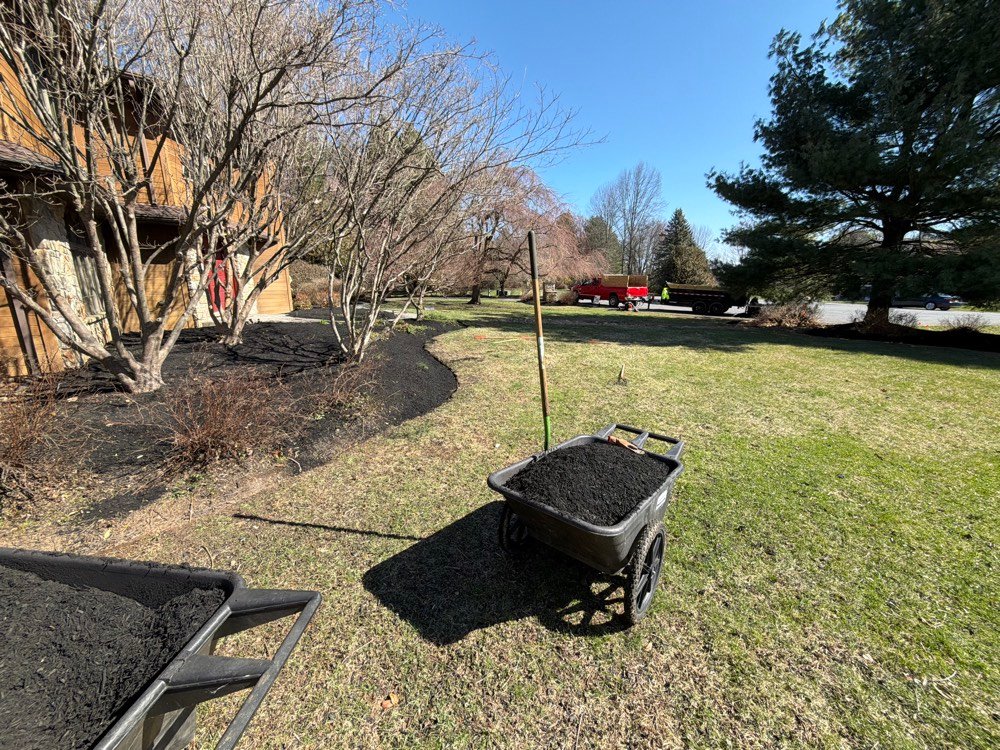 Freshly mulched landscape bed with new plantings in progress