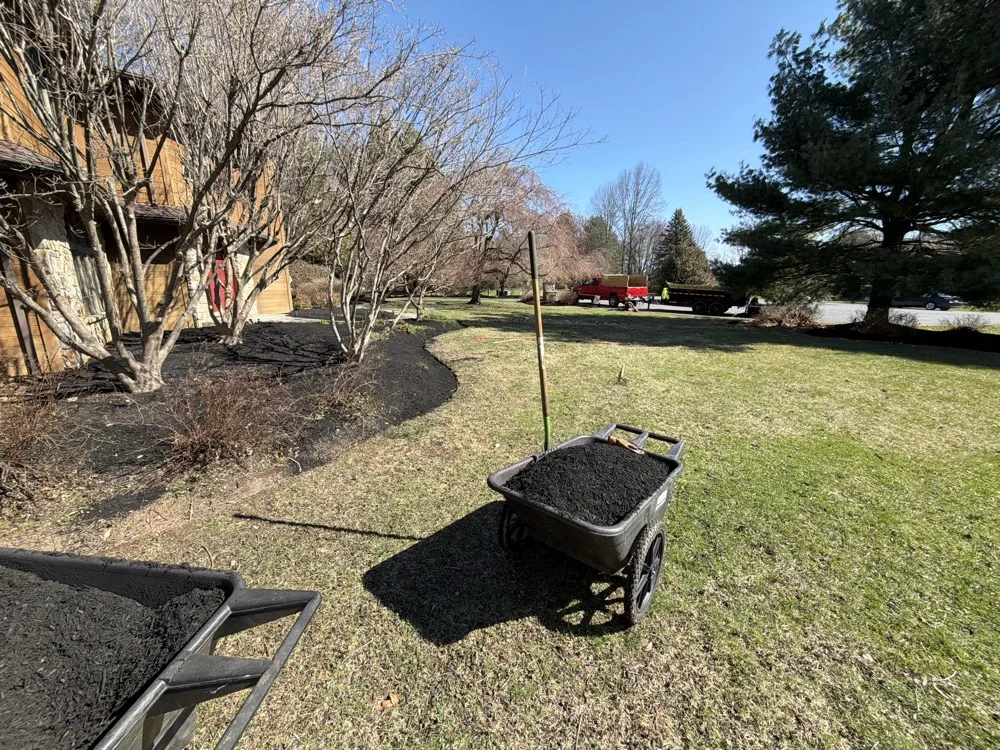 Freshly mulched landscape bed with new plantings in progress