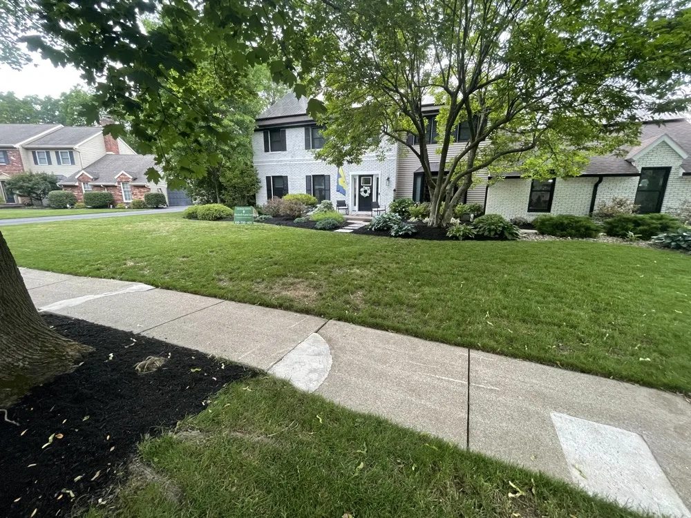 Freshly mulched and edged landscape bed alongside a well-maintained lawn